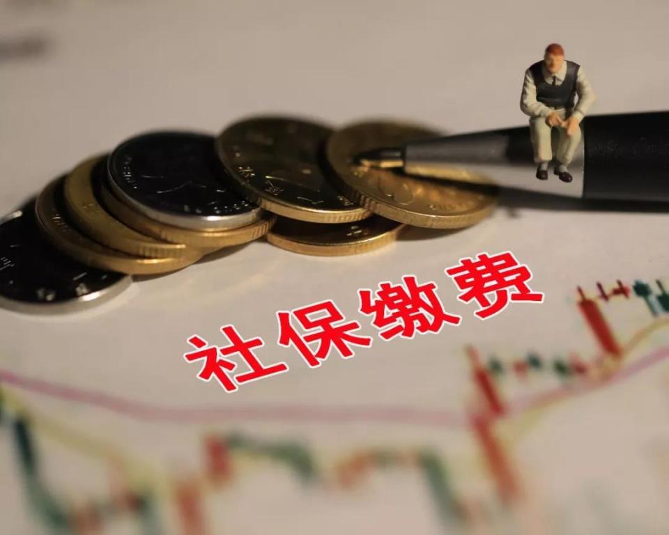 社保缴纳计算器如何计算？社保缴纳需要注意什么？