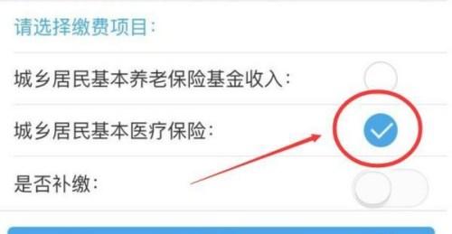 在手机上如何交医疗保险