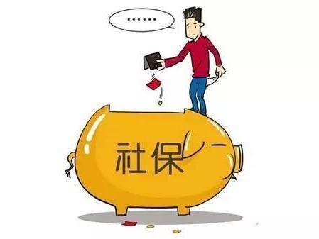 社保如何查询个人的缴费记录 社保具有哪些特征