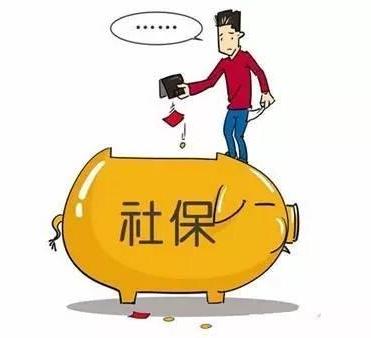 在哪里查社保缴费明细