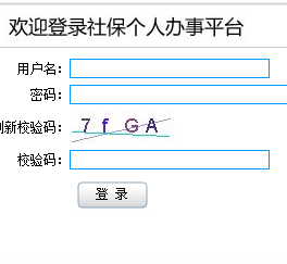 查社保怎么查?
