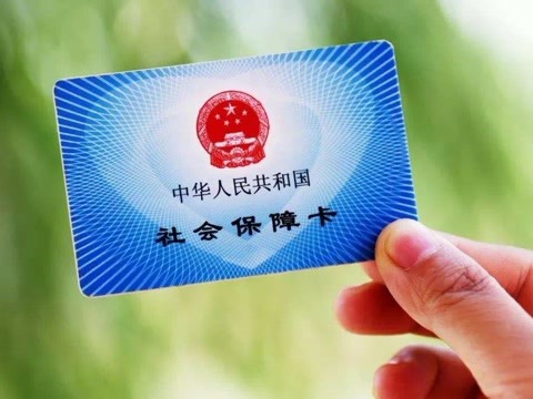 怎么查社保交没交