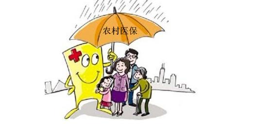 农村医保网上怎么缴费？农村医保有什么保障内容？
